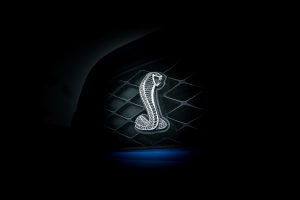 Shelby logo